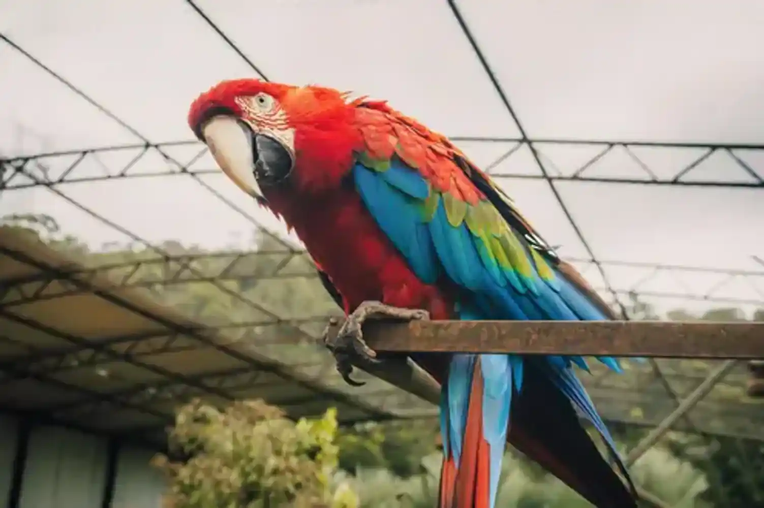 Baltic Family Fun Tour