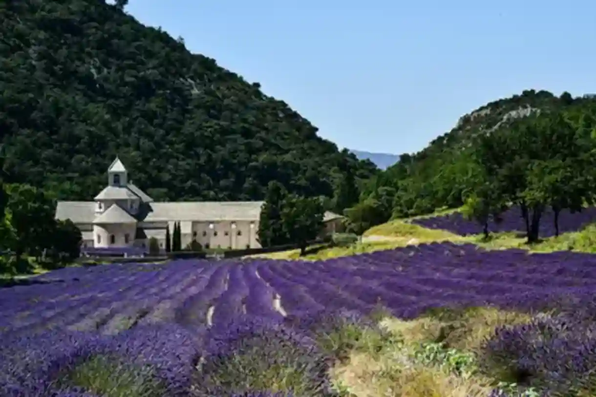 French Countryside & Castles