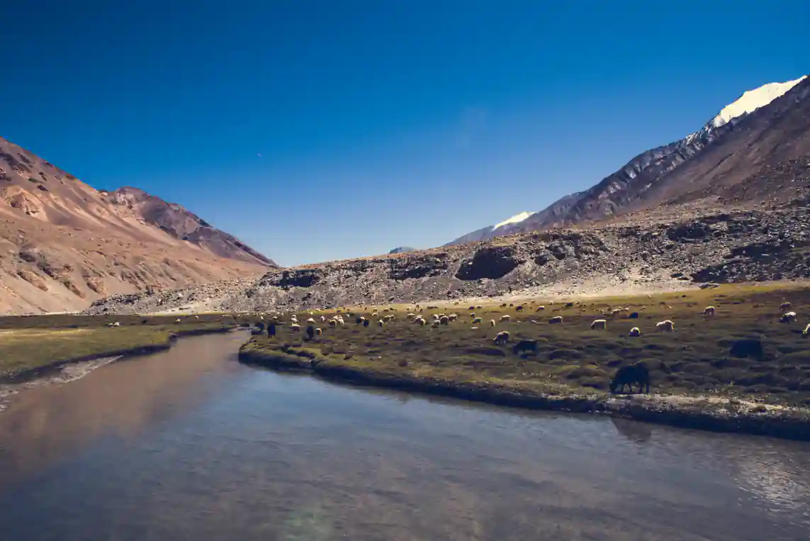 Ladakh Trekking Adventure
