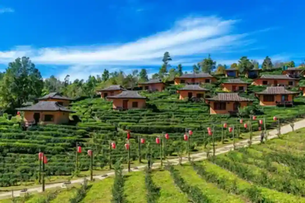 Macau Heritage & Culture Tour