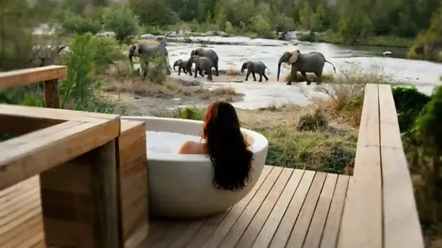 Luxury South Africa Safari & Coast