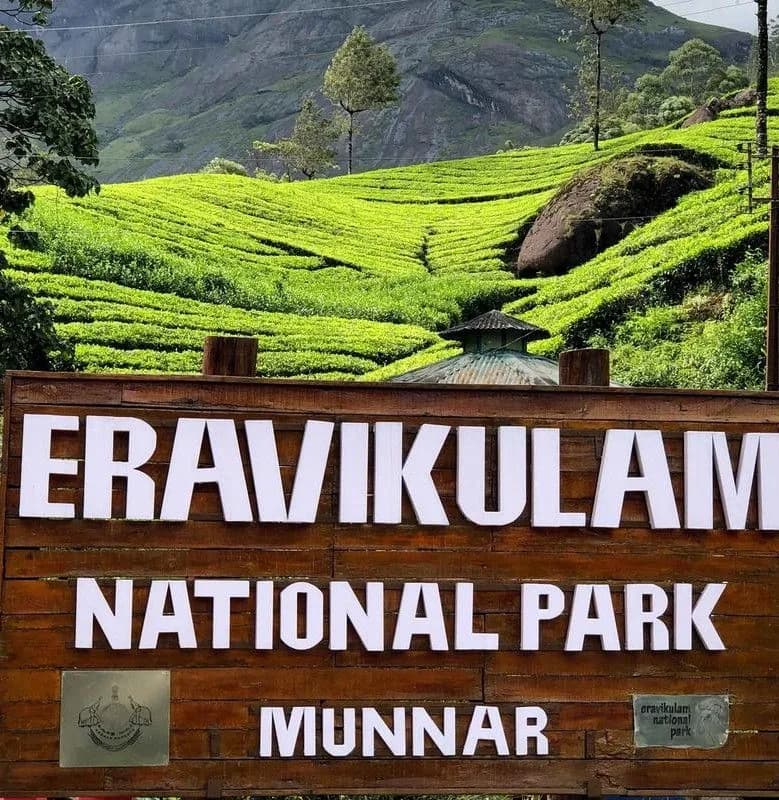 Pervara Singhania testimonial