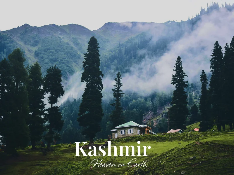 Kashmir